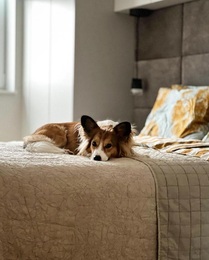 Nadbaltycki Swit - Gdynia Pogorze Apartment ภายนอก รูปภาพ