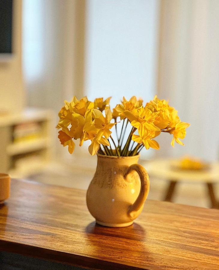 Nadbaltycki Swit - Gdynia Pogorze Apartment ภายนอก รูปภาพ